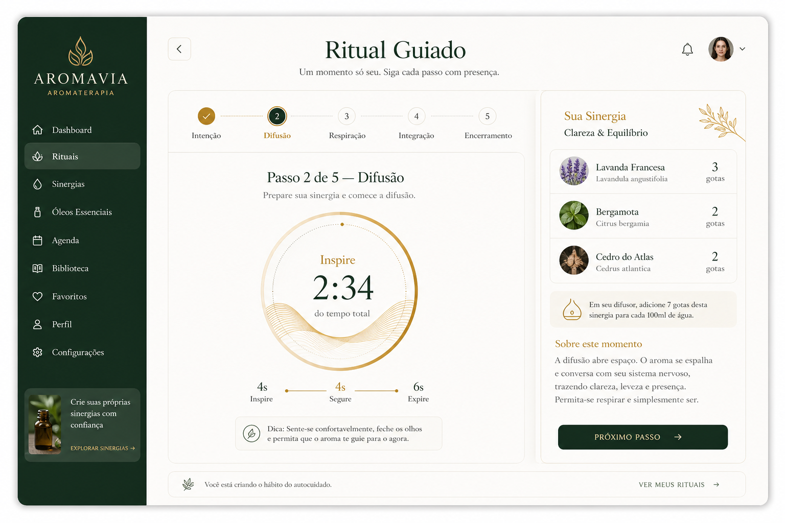 Protocolos Guiados